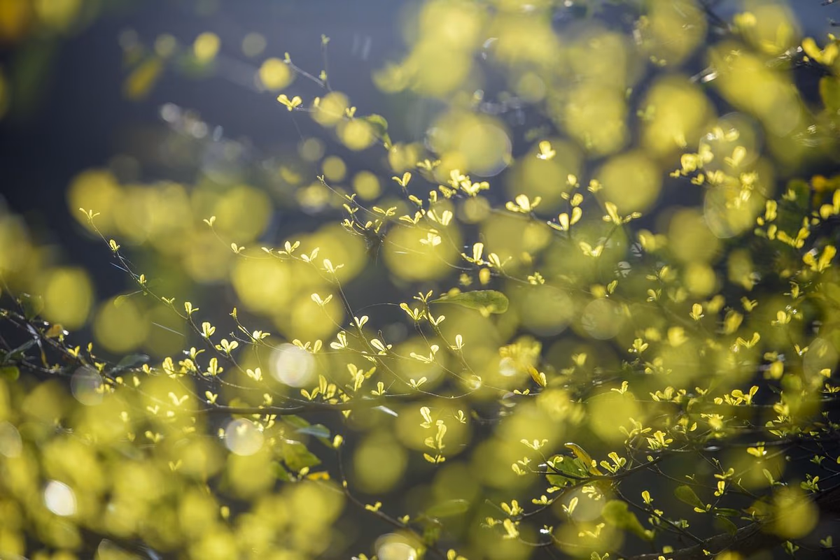 Advancing ESG Reporting with Activity-Based Calculations